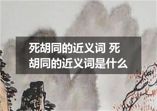 死胡同的近义词 死胡同的近义词是什么