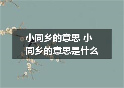 小同乡的意思 小同乡的意思是什么