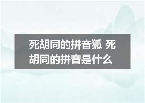 死胡同的拼音狐 死胡同的拼音是什么
