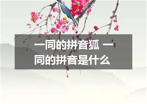 一同的拼音狐 一同的拼音是什么