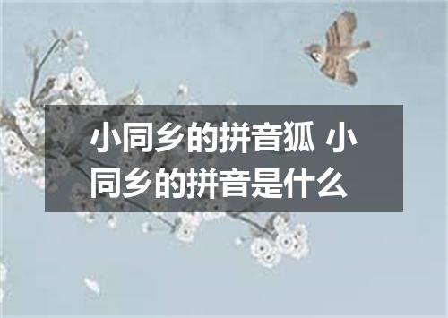 小同乡的拼音狐 小同乡的拼音是什么