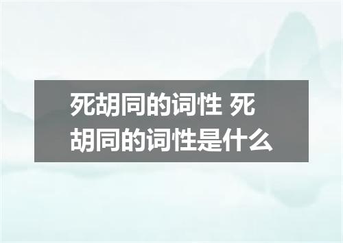死胡同的词性 死胡同的词性是什么