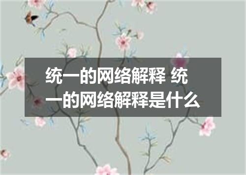 统一的网络解释 统一的网络解释是什么