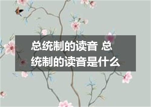 总统制的读音 总统制的读音是什么