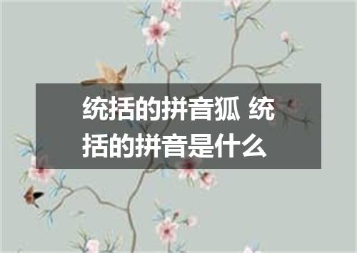 统括的拼音狐 统括的拼音是什么