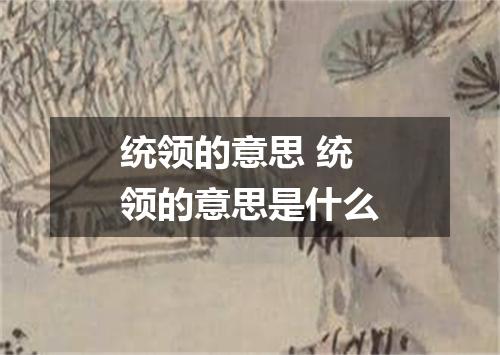 统领的意思 统领的意思是什么