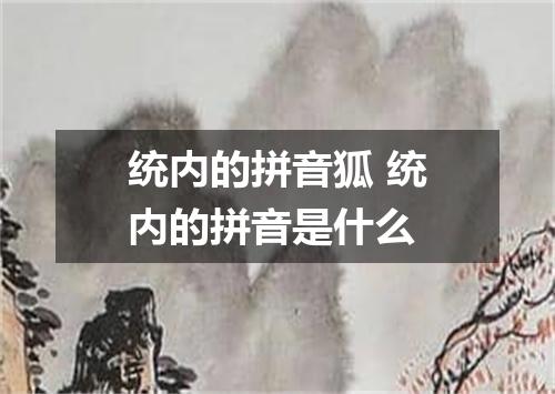 统内的拼音狐 统内的拼音是什么