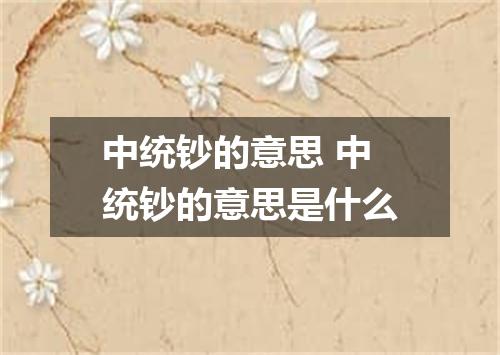 中统钞的意思 中统钞的意思是什么