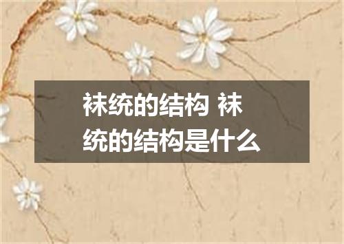 袜统的结构 袜统的结构是什么