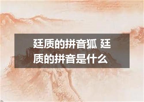 廷质的拼音狐 廷质的拼音是什么