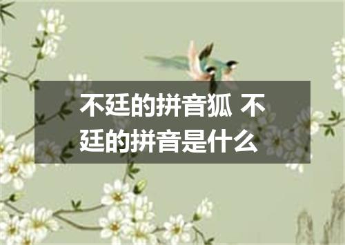 不廷的拼音狐 不廷的拼音是什么