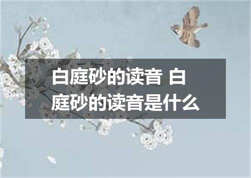 白庭砂的读音 白庭砂的读音是什么