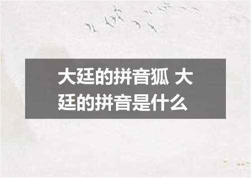 大廷的拼音狐 大廷的拼音是什么