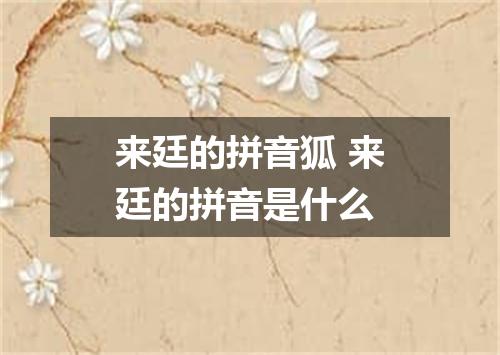 来廷的拼音狐 来廷的拼音是什么