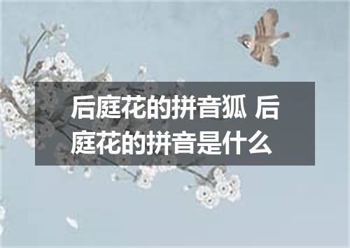 后庭花的拼音狐 后庭花的拼音是什么