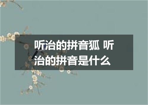 听治的拼音狐 听治的拼音是什么