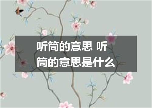 听筒的意思 听筒的意思是什么