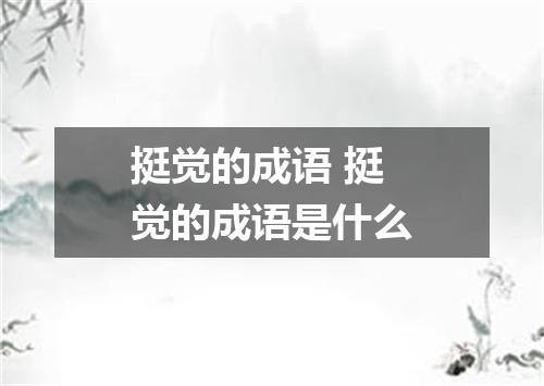 挺觉的成语 挺觉的成语是什么