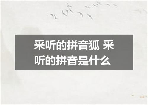 采听的拼音狐 采听的拼音是什么