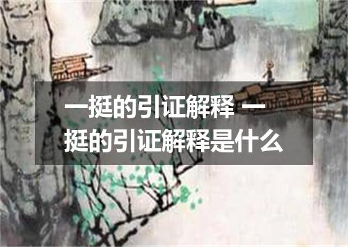 一挺的引证解释 一挺的引证解释是什么
