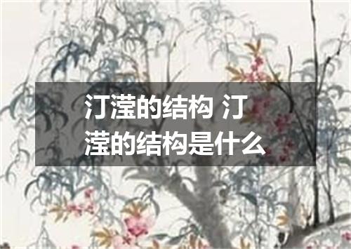 汀滢的结构 汀滢的结构是什么