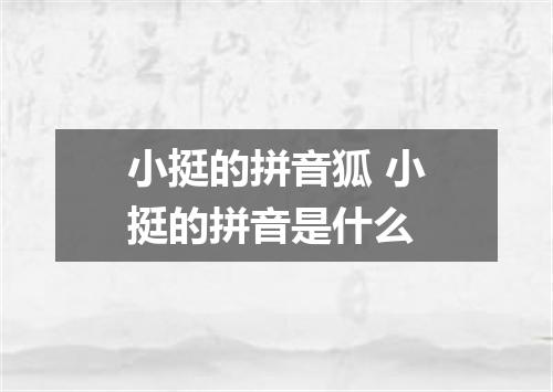 小挺的拼音狐 小挺的拼音是什么