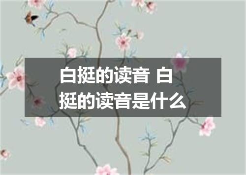 白挺的读音 白挺的读音是什么