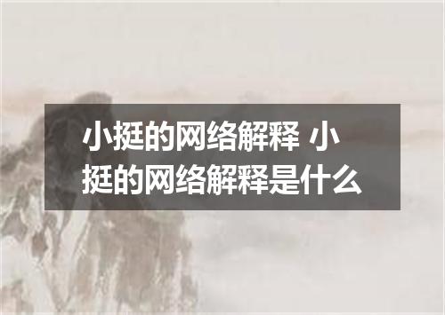 小挺的网络解释 小挺的网络解释是什么