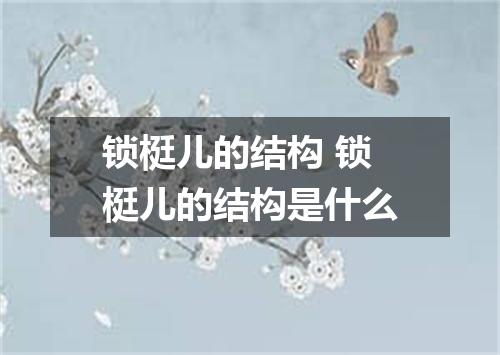 锁梃儿的结构 锁梃儿的结构是什么