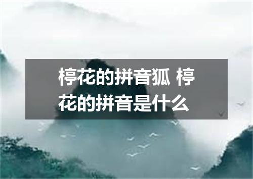 楟花的拼音狐 楟花的拼音是什么
