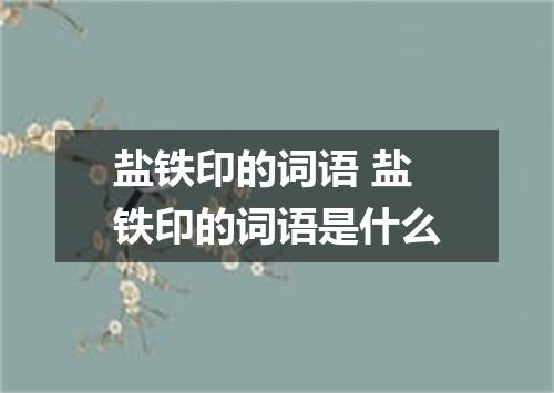 盐铁印的词语 盐铁印的词语是什么