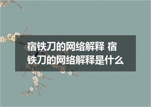 宿铁刀的网络解释 宿铁刀的网络解释是什么