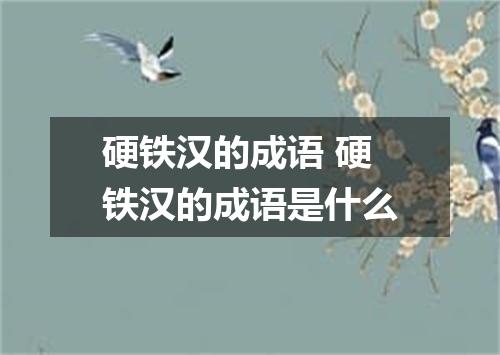硬铁汉的成语 硬铁汉的成语是什么
