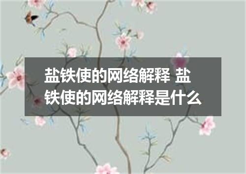 盐铁使的网络解释 盐铁使的网络解释是什么