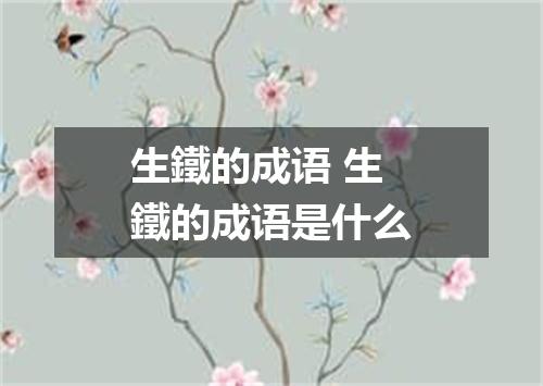 生鐵的成语 生鐵的成语是什么