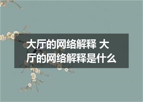 大厅的网络解释 大厅的网络解释是什么