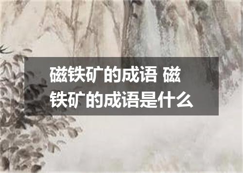 磁铁矿的成语 磁铁矿的成语是什么