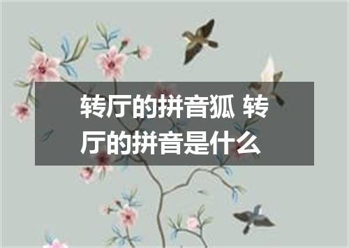 转厅的拼音狐 转厅的拼音是什么