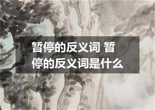 暂停的反义词 暂停的反义词是什么