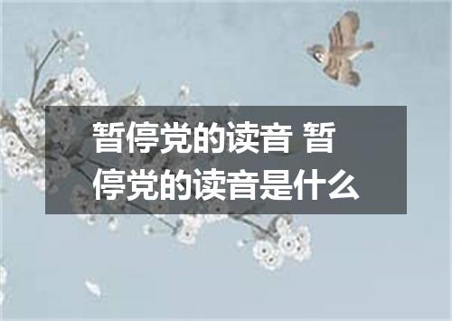暂停党的读音 暂停党的读音是什么