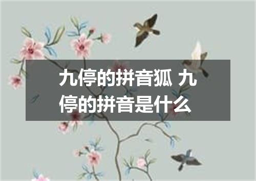 九停的拼音狐 九停的拼音是什么