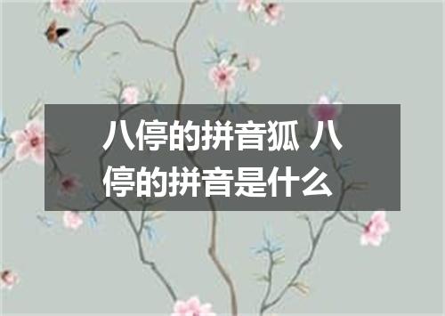 八停的拼音狐 八停的拼音是什么
