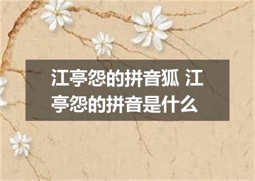 江亭怨的拼音狐 江亭怨的拼音是什么