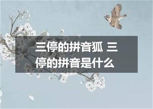 三停的拼音狐 三停的拼音是什么