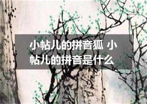 小帖儿的拼音狐 小帖儿的拼音是什么
