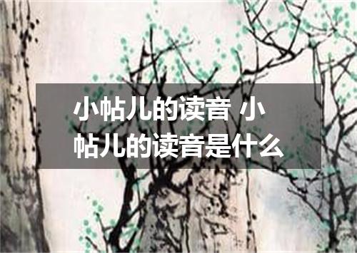 小帖儿的读音 小帖儿的读音是什么