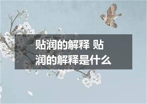 贴润的解释 贴润的解释是什么