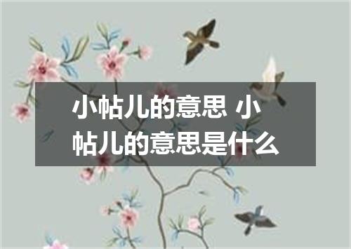 小帖儿的意思 小帖儿的意思是什么