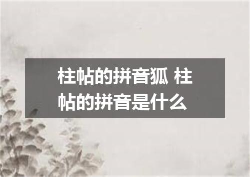 柱帖的拼音狐 柱帖的拼音是什么