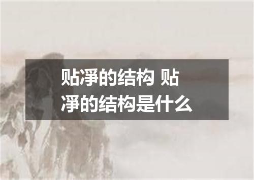贴凈的结构 贴凈的结构是什么